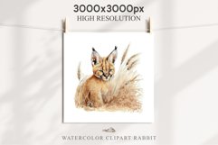Baby Caracal Safari Animals Clipart Savanna Cats PNG Art Image Watercolor  Transparent Print invitation t-shirt designs sublimation kids printable digital watercolor cute African Baby Caracal, Safari Animals clipart, sublimation nursery drawing Savanna
