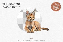 Baby Caracal Safari Animals Clipart Savanna Cats PNG Art Image Watercolor  Transparent Print invitation t-shirt designs sublimation kids printable digital watercolor cute African Baby Caracal, Safari Animals clipart, sublimation nursery drawing Savanna