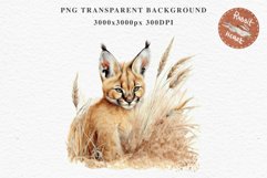 Baby Caracal Safari Animals Clipart Savanna Cats PNG Art Image Watercolor  Transparent Print invitation t-shirt designs sublimation kids printable digital watercolor cute African Baby Caracal, Safari Animals clipart, sublimation nursery drawing Savanna