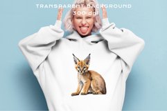 watercolor cute African Baby Caracal, Safari Animals clipart, sublimation nursery drawing Savanna Baby Caracal Safari Animals Clipart Savanna Cats PNG Art Image Watercolor  Transparent Print invitation t-shirt designs sublimation kids printable digital