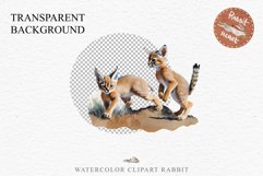 Baby Caracal Safari Animals Clipart Savanna Cats PNG Art Image Watercolor  Transparent Print invitation t-shirt designs sublimation kids printable digital watercolor cute African Baby Caracal, Safari Animals clipart, sublimation nursery drawing Savanna
