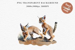 Baby Caracal Safari Animals Clipart Savanna Cats PNG Art Image Watercolor  Transparent Print invitation t-shirt designs sublimation kids printable digital watercolor cute African Baby Caracal, Safari Animals clipart, sublimation nursery drawing Savanna