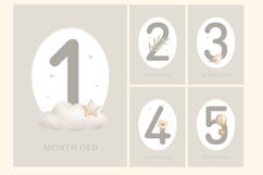 Monthly Baby Milestone Cards Printable, newborn card Product Image 2