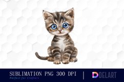 Baby Cat Watercolor Clipart Product Image 1
