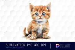 Baby Cat Graphic Clipart Product Image 1