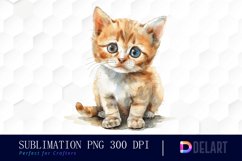 Baby Cat Sublimation PNG Clipart Product Image 1