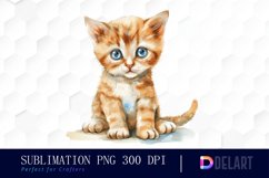 Baby Cat Graphic Clipart Product Image 1