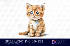 Baby Cat Graphics Clipart Product Image 1