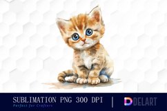 Baby Cat Illustration Clipart Product Image 1