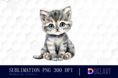 Baby Cat Illustration Clipart Product Image 1