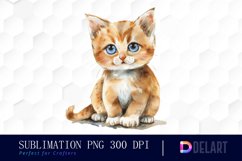 Baby Cat Watercolor Clipart Product Image 1