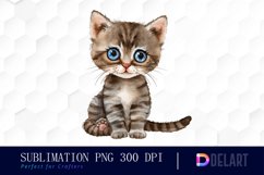 Baby Cat Illustration Clipart Product Image 1