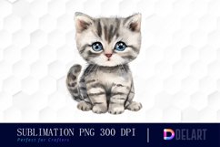 Baby Cat Illustration Clipart Product Image 1