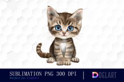 Baby Cat Sublimation PNG Clipart Product Image 1
