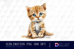 Baby Cat Illustration Clipart Product Image 1