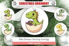 Ornament Hatching Baby Dinosaur Product Image 1