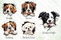 Baby Dog Peeking Sublimation Bundle Product Image 2