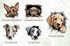 Baby Dog Peeking Sublimation Bundle Product Image 4