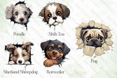 Baby Dog Peeking Sublimation Bundle Product Image 5