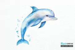 Baby Dolphin Watercolor PNG Clipart Product Image 1