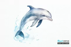 Baby Dolphin Watercolor PNG Clipart Product Image 1