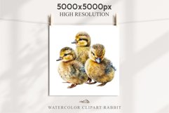 Baby Duck Duckling Birds Clipart PNG Scrapbooking Nursery Art Image Watercolor  Transparent Print invitation shirt designs sublimation kids printable digital