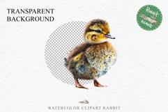 Baby Duck Duckling Birds Clipart PNG Scrapbooking Nursery Art Image Watercolor  Transparent Print invitation shirt designs sublimation kids printable digital watercolor baby duck, duckling png, birds, scrapbooking clipart, sublimation nursery art drawing