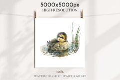 Baby Duck Duckling Birds Clipart PNG Scrapbooking Nursery Art Image Watercolor  Transparent Print invitation shirt designs sublimation kids printable digital watercolor baby duck, duckling png, birds, scrapbooking clipart, sublimation nursery art drawing