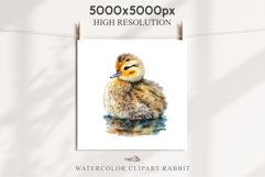 Baby Duck Duckling Birds Clipart PNG Scrapbooking Nursery Art Image Watercolor  Transparent Print invitation shirt designs sublimation kids printable digital watercolor baby duck, duckling png, birds, scrapbooking clipart, sublimation nursery art drawing