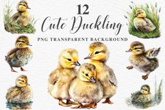 Baby Duck Duckling Birds Clipart PNG Scrapbooking Nursery Art Image Watercolor  Transparent Print invitation shirt designs sublimation kids printable digital