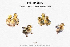 Baby Duck Duckling Birds Clipart PNG Scrapbooking Nursery Art Image Watercolor  Transparent Print invitation shirt designs sublimation kids printable digital