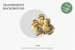 Baby Duck Duckling Birds Clipart PNG Scrapbooking Nursery Art Image Watercolor  Transparent Print invitation shirt designs sublimation kids printable digital watercolor baby duck, duckling png, birds, scrapbooking clipart, sublimation nursery art drawing