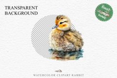 Baby Duck Duckling Birds Clipart PNG Scrapbooking Nursery Art Image Watercolor  Transparent Print invitation shirt designs sublimation kids printable digital watercolor baby duck, duckling png, birds, scrapbooking clipart, sublimation nursery art drawing