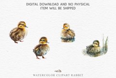 Baby Duck Duckling Birds Clipart PNG Scrapbooking Nursery Art Image Watercolor  Transparent Print invitation shirt designs sublimation kids printable digital