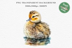 Baby Duck Duckling Birds Clipart PNG Scrapbooking Nursery Art Image Watercolor  Transparent Print invitation shirt designs sublimation kids printable digital watercolor baby duck, duckling png, birds, scrapbooking clipart, sublimation nursery art drawing