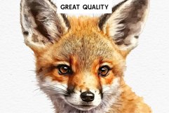 Baby Fox Forest Animals Clipart PNG Scrapbooking Nursery Art Image Watercolor  Transparent Print invitation shirt designs sublimation kids printable digital