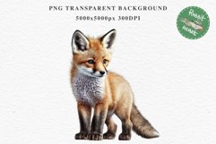 Baby Fox Forest Animals Clipart PNG Scrapbooking Nursery Art Image Watercolor  Transparent Print invitation shirt designs sublimation kids printable digital watercolor baby Fox floral, scrapbooking clipart, sublimation nursery drawing, forest animals