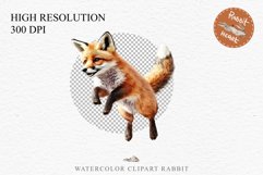 Baby Fox Forest Animals Clipart PNG Scrapbooking Nursery Art Image Watercolor  Transparent Print invitation shirt designs sublimation kids printable digital