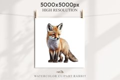 Baby Fox Forest Animals Clipart PNG Scrapbooking Nursery Art Image Watercolor  Transparent Print invitation shirt designs sublimation kids printable digital watercolor baby Fox floral, scrapbooking clipart, sublimation nursery drawing, forest animals