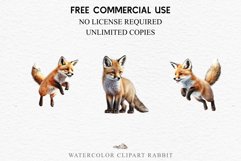 Baby Fox Forest Animals Clipart PNG Scrapbooking Nursery Art Image Watercolor  Transparent Print invitation shirt designs sublimation kids printable digital