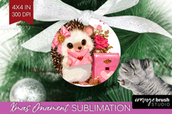 Baby Hedgehog Valentine Ornament PNG Cute Valentines Day PNG Product Image 1