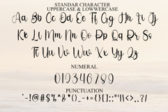 Baby Holiday Product Image 7