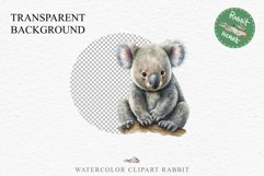 Baby Koala Forest Animals Clipart PNG Scrapbooking Nursery Art Image Watercolor  Transparent Print invitation shirt designs sublimation kids printable digital watercolor baby Koala floral, scrapbooking clipart, sublimation nursery drawing, forest animals