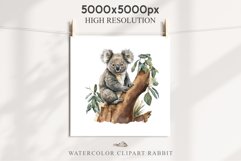 Baby Koala Forest Animals Clipart PNG Scrapbooking Nursery Art Image Watercolor  Transparent Print invitation shirt designs sublimation kids printable digital watercolor baby Koala floral, scrapbooking clipart, sublimation nursery drawing, forest animals