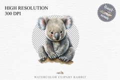 watercolor baby Koala floral, scrapbooking clipart, sublimation nursery drawing, forest animals Baby Koala Forest Animals Clipart PNG Scrapbooking Nursery Art Image Watercolor  Transparent Print invitation shirt designs sublimation kids printable digital