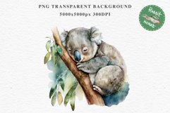 Baby Koala Forest Animals Clipart PNG Scrapbooking Nursery Art Image Watercolor  Transparent Print invitation shirt designs sublimation kids printable digital watercolor baby Koala floral, scrapbooking clipart, sublimation nursery drawing, forest animals