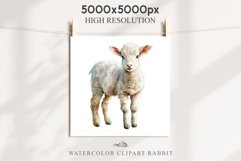 Baby Lamb Farm Animals Clipart PNG Scrapbooking Nursery Art Image Watercolor  Transparent Print invitation shirt designs sublimation kids printable digital