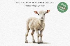 Baby Lamb Farm Animals Clipart PNG Scrapbooking Nursery Art Image Watercolor  Transparent Print invitation shirt designs sublimation kids printable digital