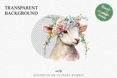 Baby Lamb Farm Animals Clipart PNG Scrapbooking Nursery Art Image Watercolor  Transparent Print invitation shirt designs sublimation kids printable digital