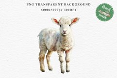 Baby Lamb Farm Animals Clipart PNG Scrapbooking Nursery Art Image Watercolor  Transparent Print invitation shirt designs sublimation kids printable digital